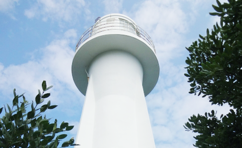 高知県土佐清水市/道の駅めじかの里土佐清水/周辺観光スポット/足摺岬灯台