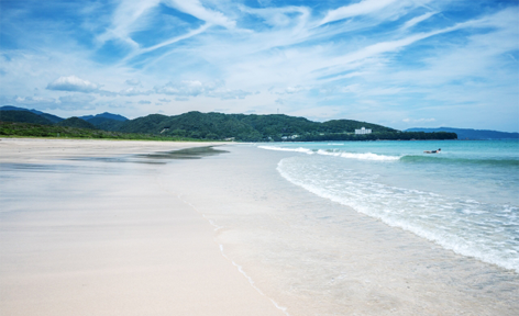 高知県土佐清水市/道の駅めじかの里土佐清水/周辺観光スポット/大岐海岸