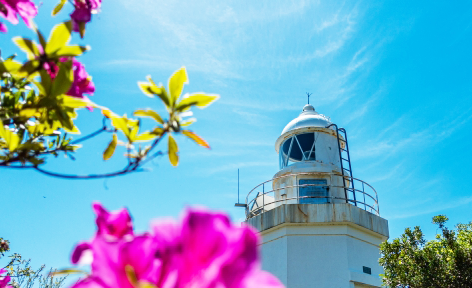 高知県土佐清水市/道の駅めじかの里土佐清水/周辺観光スポット/叶崎