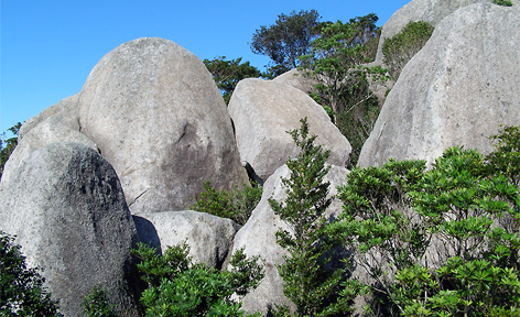 高知県土佐清水市/道の駅めじかの里土佐清水/周辺観光スポット/唐人石