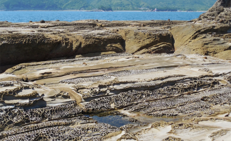 高知県土佐清水市/道の駅めじかの里土佐清水/周辺観光スポット/見残し海岸