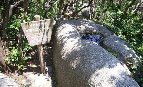 高知県土佐清水市/道の駅めじかの里土佐清水/周辺観光スポット/足摺の七不思議