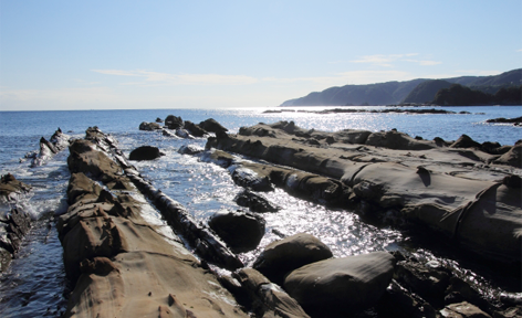 高知県土佐清水市/道の駅めじかの里土佐清水/周辺観光スポット/竜串海岸