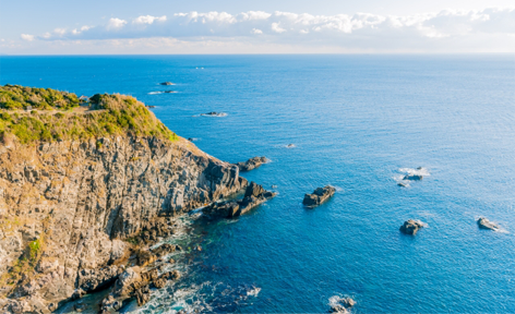 高知県土佐清水市/道の駅めじかの里土佐清水/周辺観光スポット/天狗の鼻
