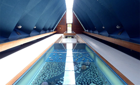 高知県土佐清水市/道の駅めじかの里土佐清水/周辺観光スポット/海のギャラリー