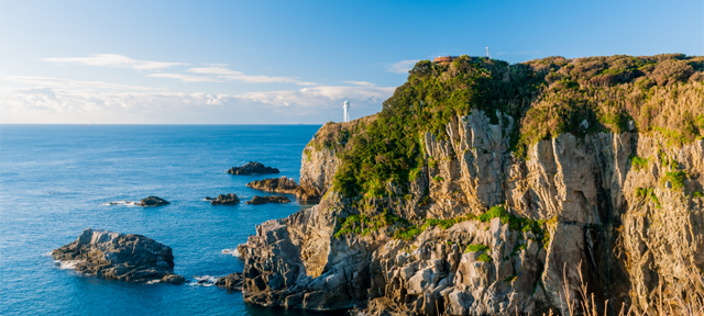 高知県土佐清水市/道の駅めじかの里土佐清水/周辺観光スポット紹介