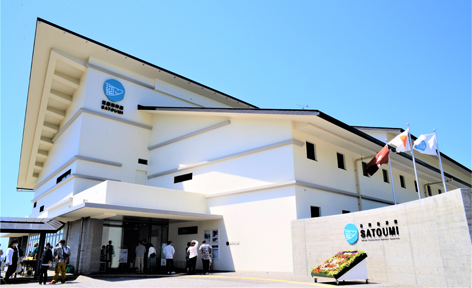 高知県土佐清水市/道の駅めじかの里土佐清水/周辺観光スポット/桜浜海水浴場