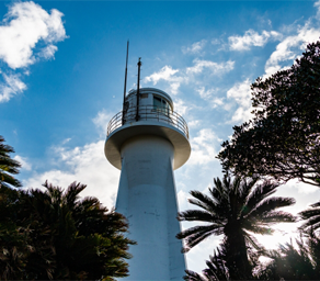 高知県土佐清水市/道の駅めじかの里土佐清水/魅力
