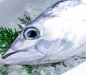 高知県土佐清水市/道の駅めじかの里土佐清水/魅力