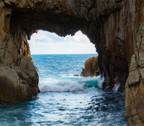 高知県土佐清水市/道の駅めじかの里土佐清水/魅力