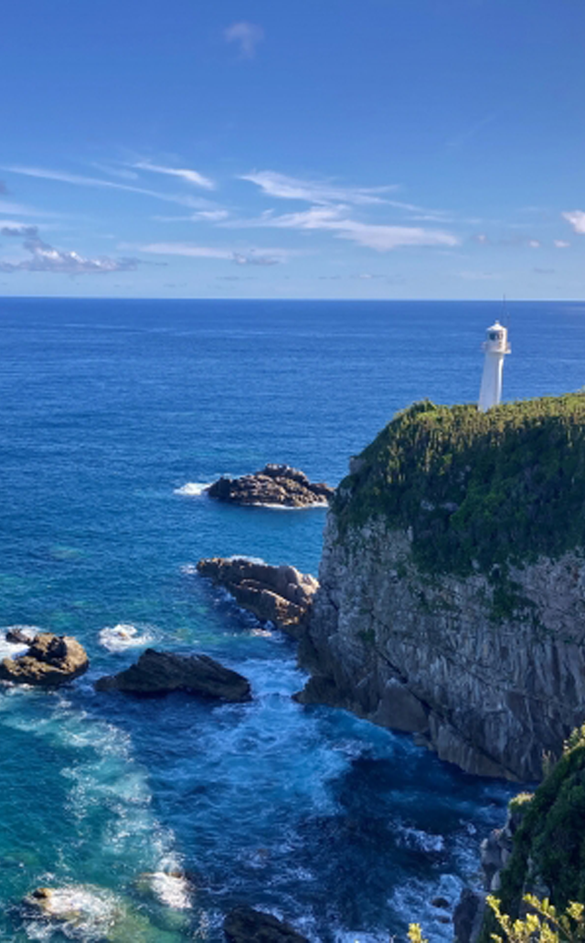 高知県土佐清水市/道の駅めじかの里土佐清水/スライダー