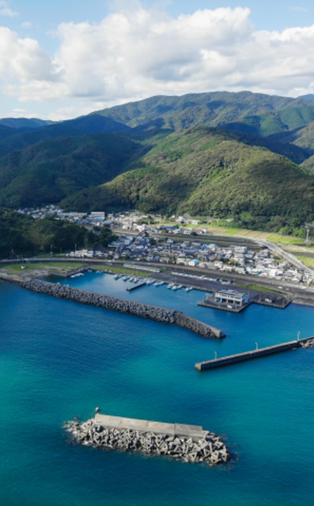 高知県土佐清水市/道の駅めじかの里土佐清水/スライダー