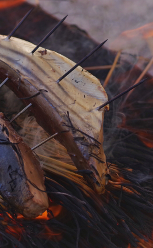 高知県土佐清水市/道の駅めじかの里土佐清水/スライダー