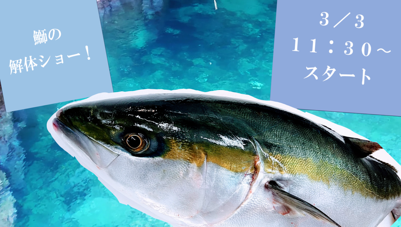 高知県/道の駅めじかの里土佐清水/お知らせ