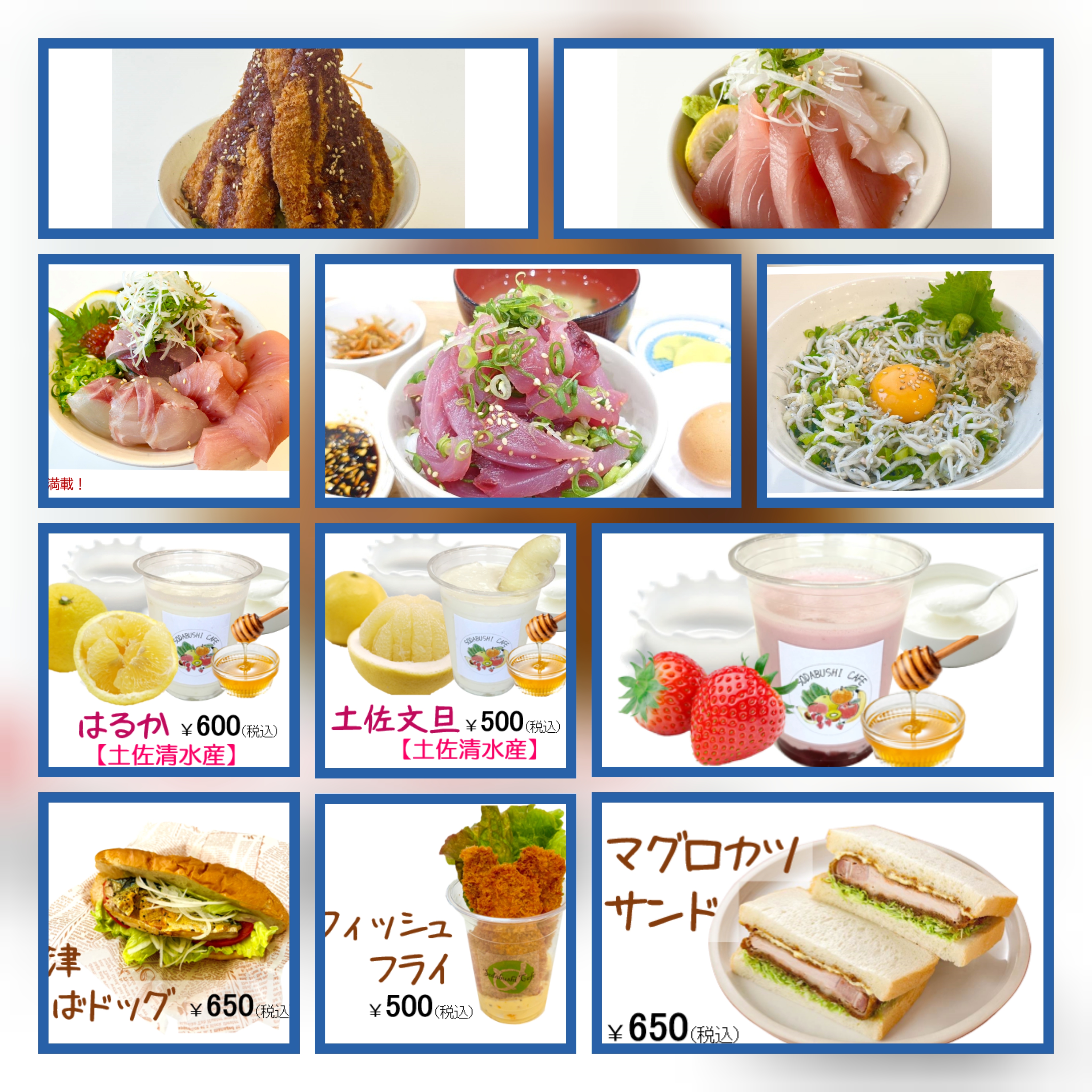 高知県/道の駅めじかの里土佐清水/お知らせ