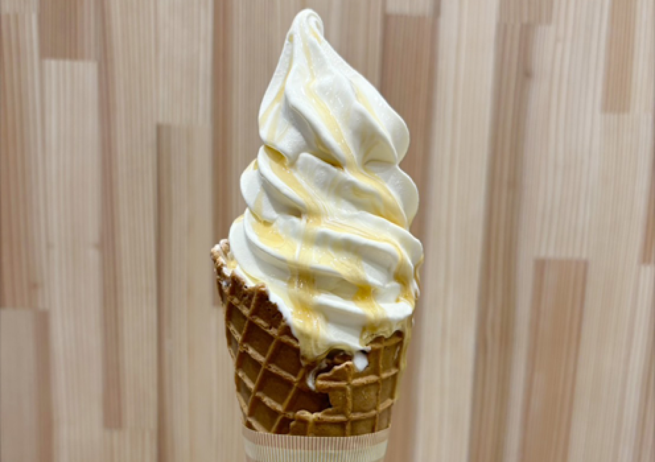 高知県/道の駅めじかの里土佐清水/はちみつソフト