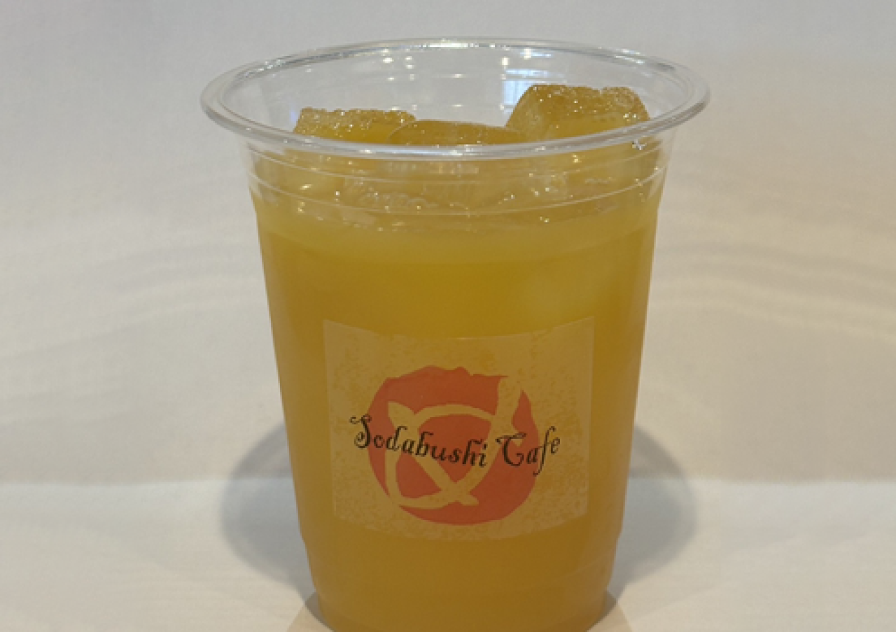 高知県/道の駅めじかの里土佐清水/みかんジュース