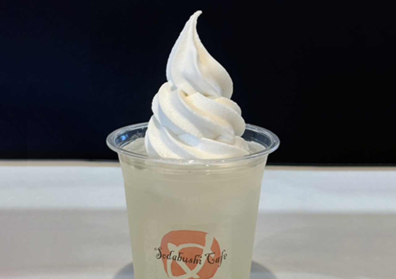 高知県/道の駅めじかの里土佐清水/小夏フロート