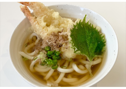 高知県/道の駅めじかの里土佐清水/天ぷらうどん