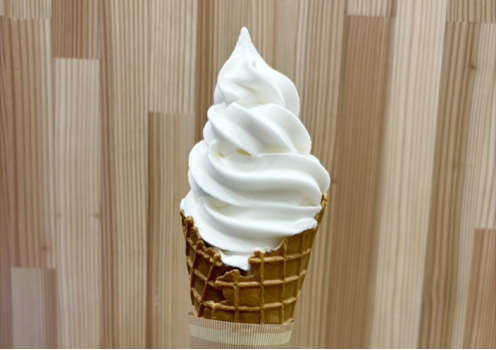 高知県/道の駅めじかの里土佐清水/出汁バーSODABUSHICafe/おすすめ商品